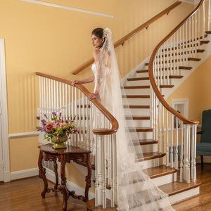 Chantilly lace edge ivory cathedral wedding veil